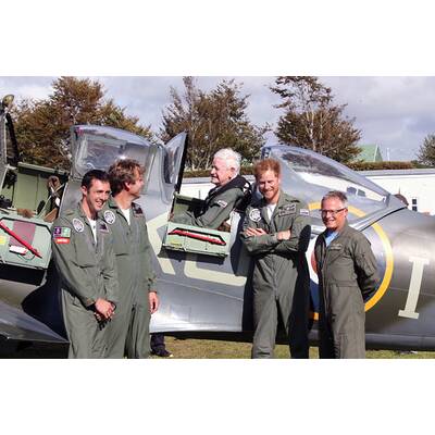 Prinz Harry: Wieder mit Bart