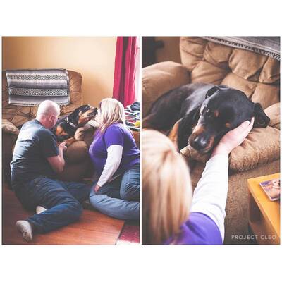 Project Cleo - Herrchen nehmen Abschied von ihren Haustieren