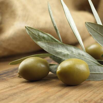 Lebensmittel ohne Kohlenhydrate