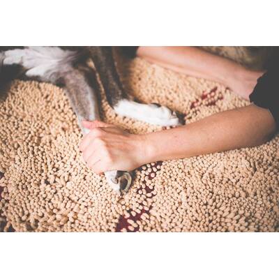 Project Cleo - Herrchen nehmen Abschied von ihren Haustieren