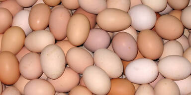 10 10 natürliche Appetithemmer