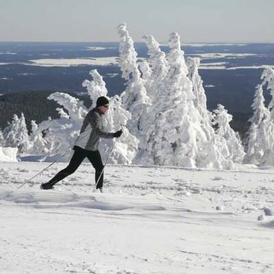 Der Winter schlägt zurück