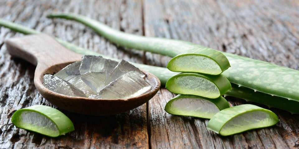 Aloe Vera