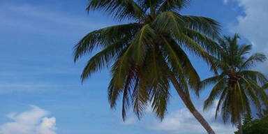 Die schönsten Strände der Welt