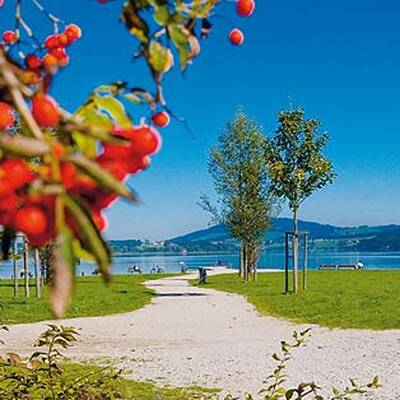 Kärnten, Ossiachersee: 22 Grad