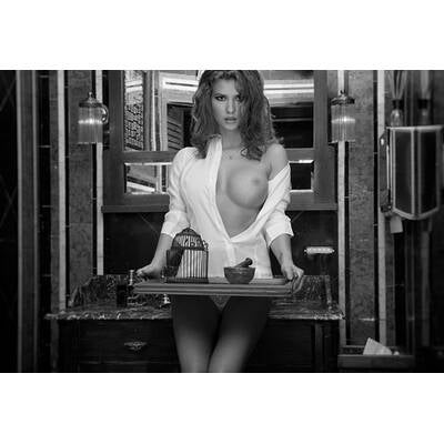 Fine Nude Art: Baumann-Kalender 2016