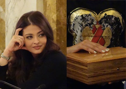 Life Ball 2013: Stars feiern im Rathaus