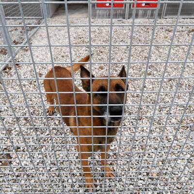 Der große oe24-Jahresrückblick 