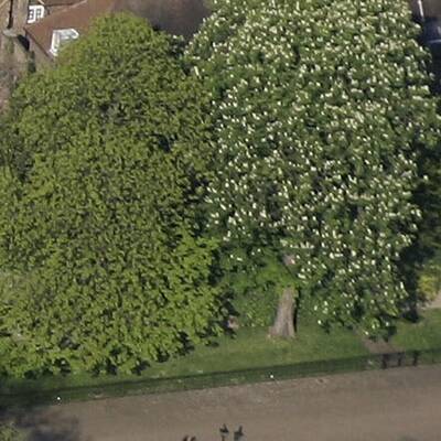 Der Kensington Palast