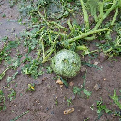 Hagel aus Superzelle
