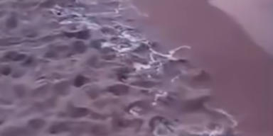 Urlauberstrand gesperrt: R&auml;tsel um mysteri&ouml;se, wei&szlig;e K&uuml;gelchen