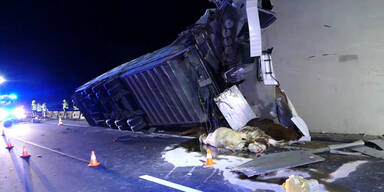 11022016_Toedl Lkw Unfall_A4 Fischamend_Tiertransport.mp4.Standbild002.jpg