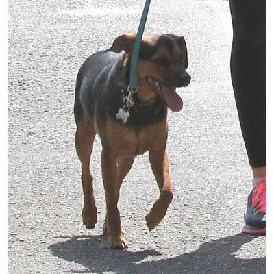 Miley Cyrus kann ja doch anders