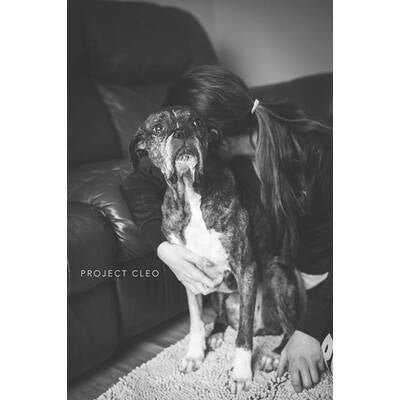 Project Cleo - Herrchen nehmen Abschied von ihren Haustieren