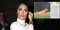 Salma Hayek trauert um ihren Hund