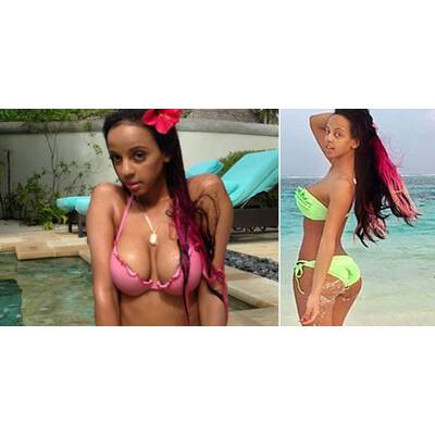 Kolibri im Malediven-Urlaub