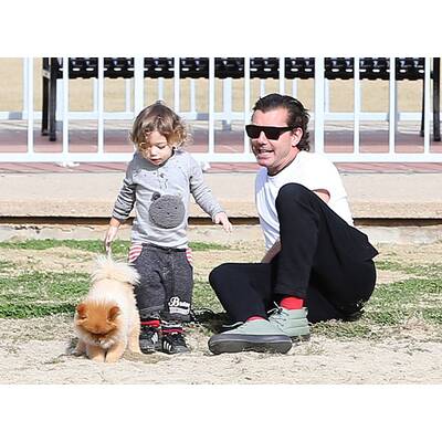 Gavin Rossdale: Vater-Sohn-Zeit mit Apollo