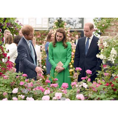 Herzogin Kate verschnupft bei Blumenmesse