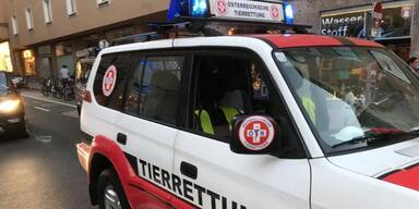 Tierretter prangern Blaulicht-Verbot in Nieder&ouml;sterreich an