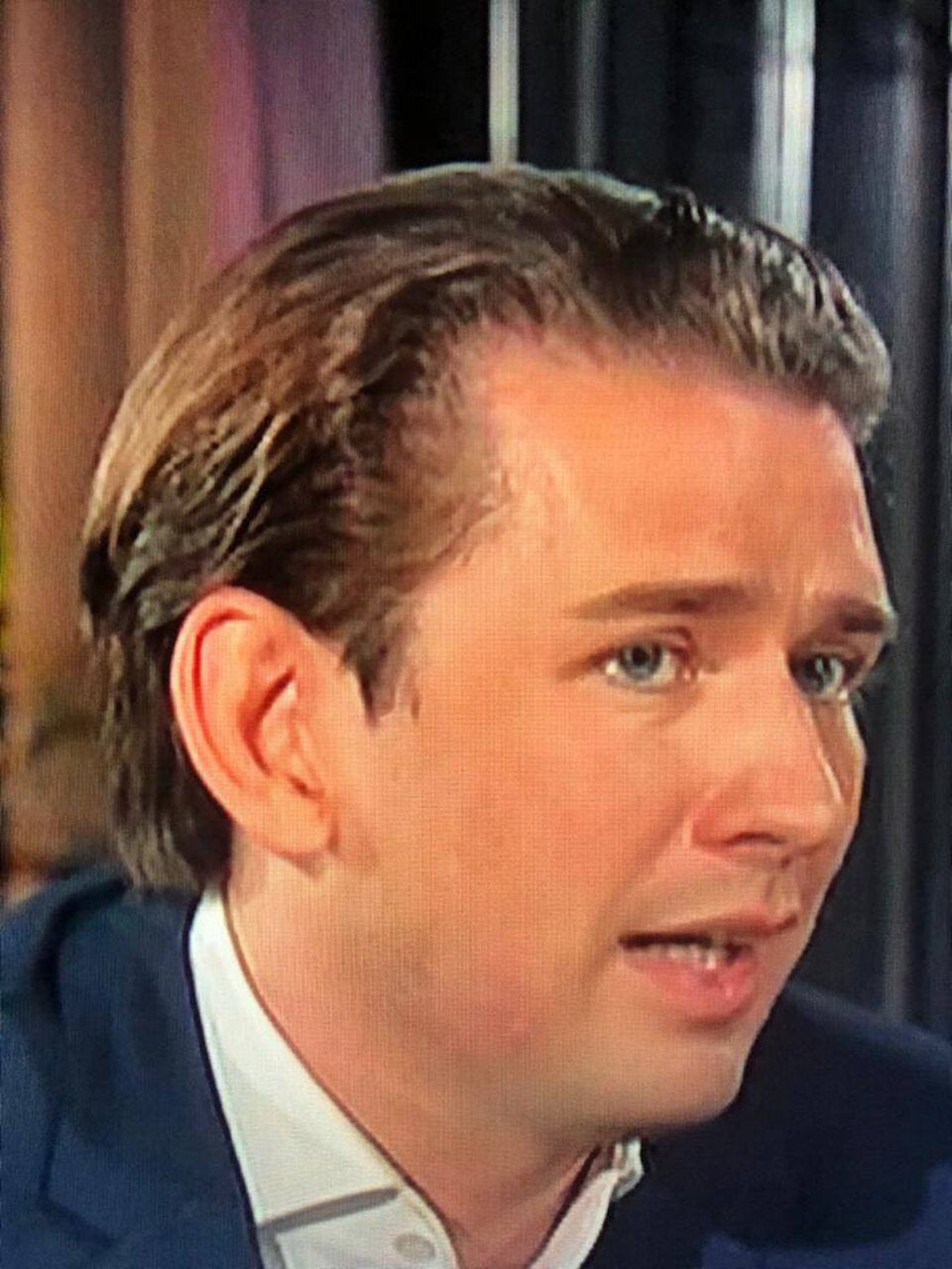 Gelsen-Attacke auf Kurz bei Sommergespräch