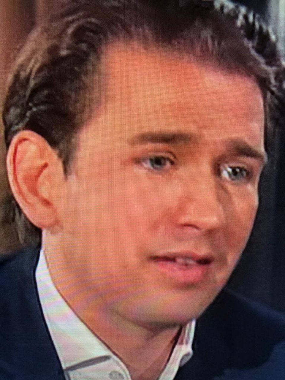 Gelsen-Attacke auf Kurz bei Sommergespräch