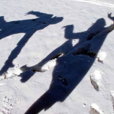 Der Winter schlägt zurück