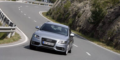 Das Alpha-Tier unter den Mittelklasse-Kombis