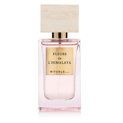 Valentinstags-Guide 2017