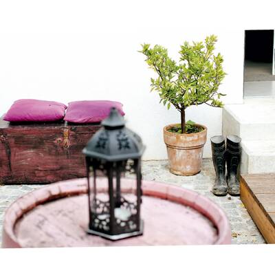 Wohnwelt von Marion Ebner-Ebenauer