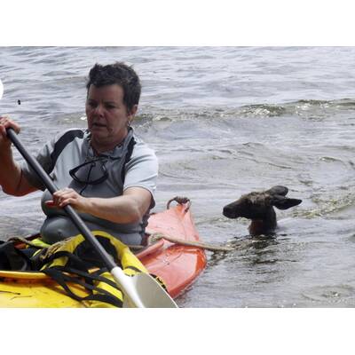 Land unter in Down Under