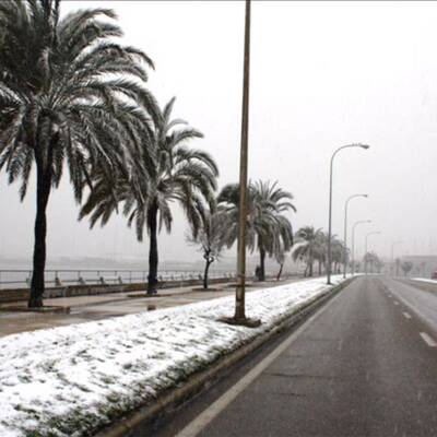 Schneefall im Februar 2012