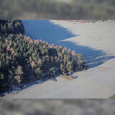 So enorm sind die Schäden