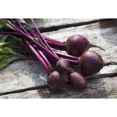 Lebensmittel ohne Kohlenhydrate