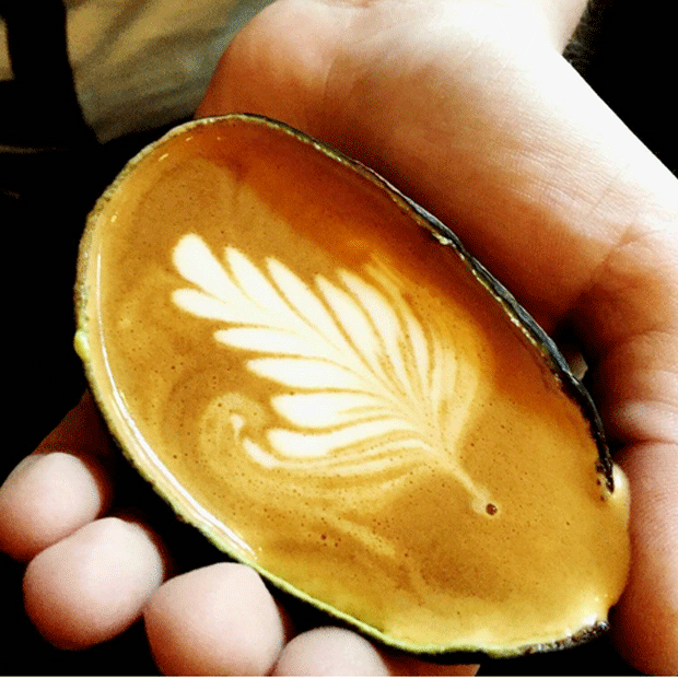 Avolatte2