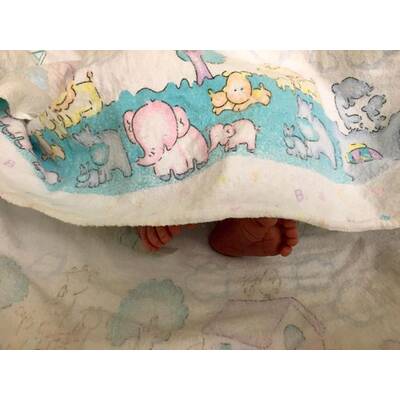 Baby-Boom bei den Stars