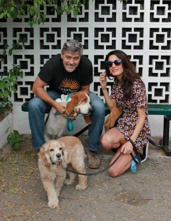Clooney