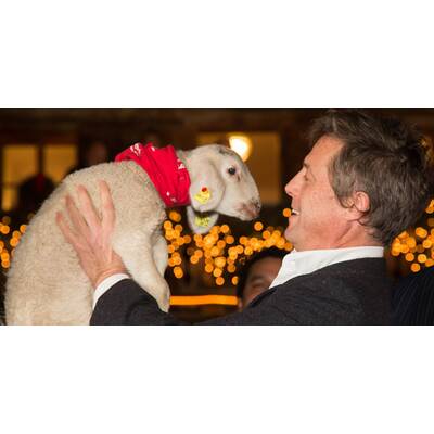Hugh Grant: So tierlieb