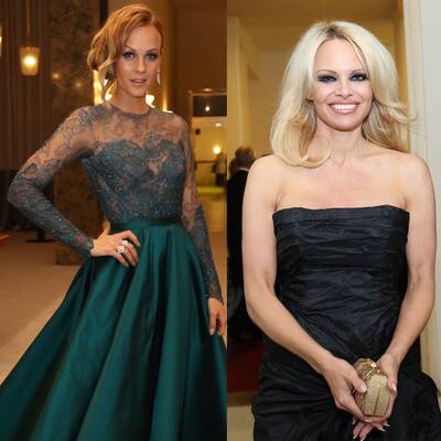 Die Stars beim Opernball 2016