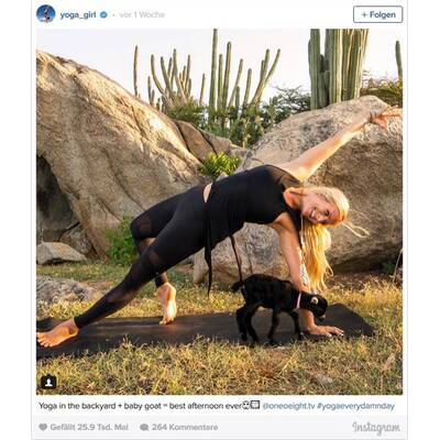 Diese Yoga-Übungen machen tierisch Spaß