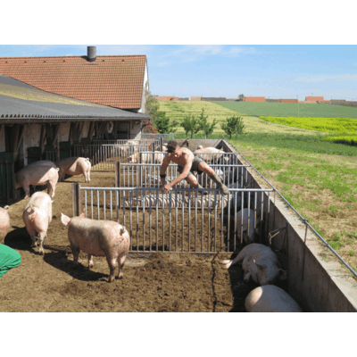 Making of Jungbauernkalender 2017