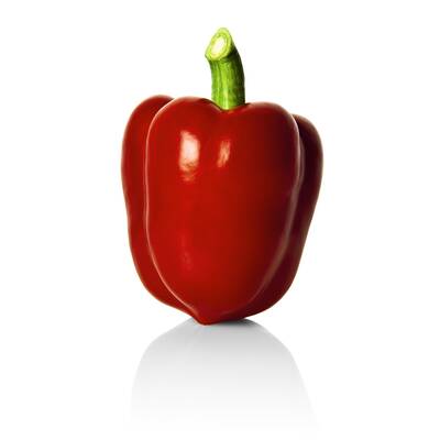 Lebensmittel ohne Kohlenhydrate