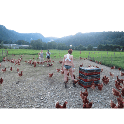 Making of Jungbauernkalender 2017