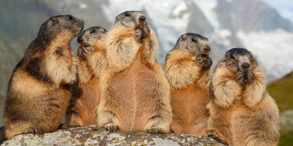 Für mehr Verkehrssicherheit am Großglockner
