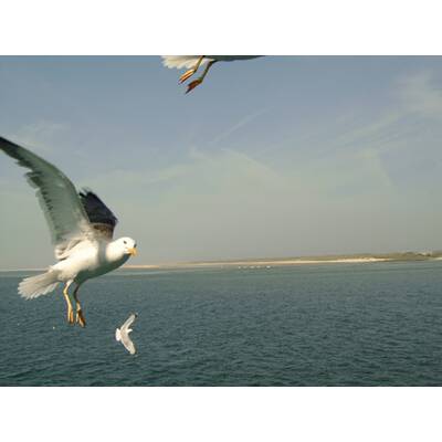 Die schönsten Inseln