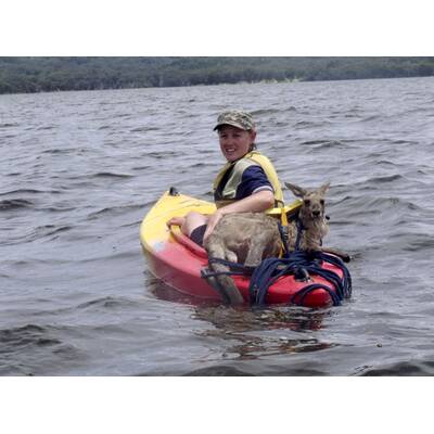 Land unter in Down Under