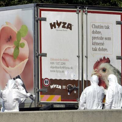 Die Bilder zur Flüchtlings-Tragödie