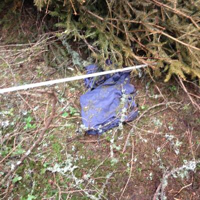 Kleinflugzeug in Tirol abgestürzt