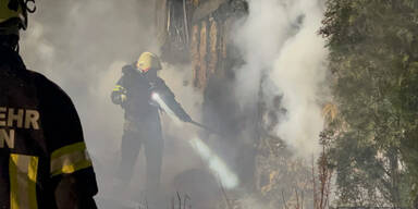 Tierdrama in NÖ: 62 Schafe in Flammen verendet