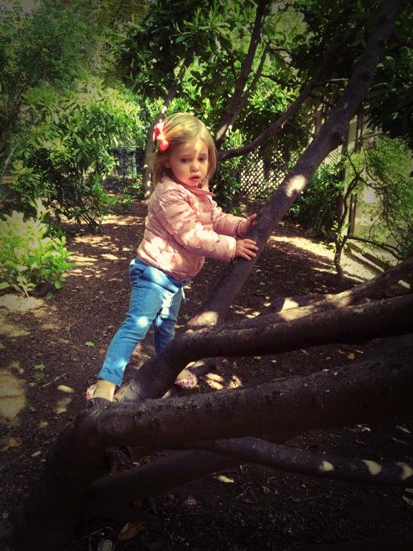 Leonore von Schweden