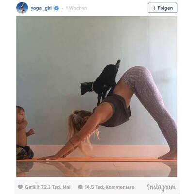 Diese Yoga-Übungen machen tierisch Spaß